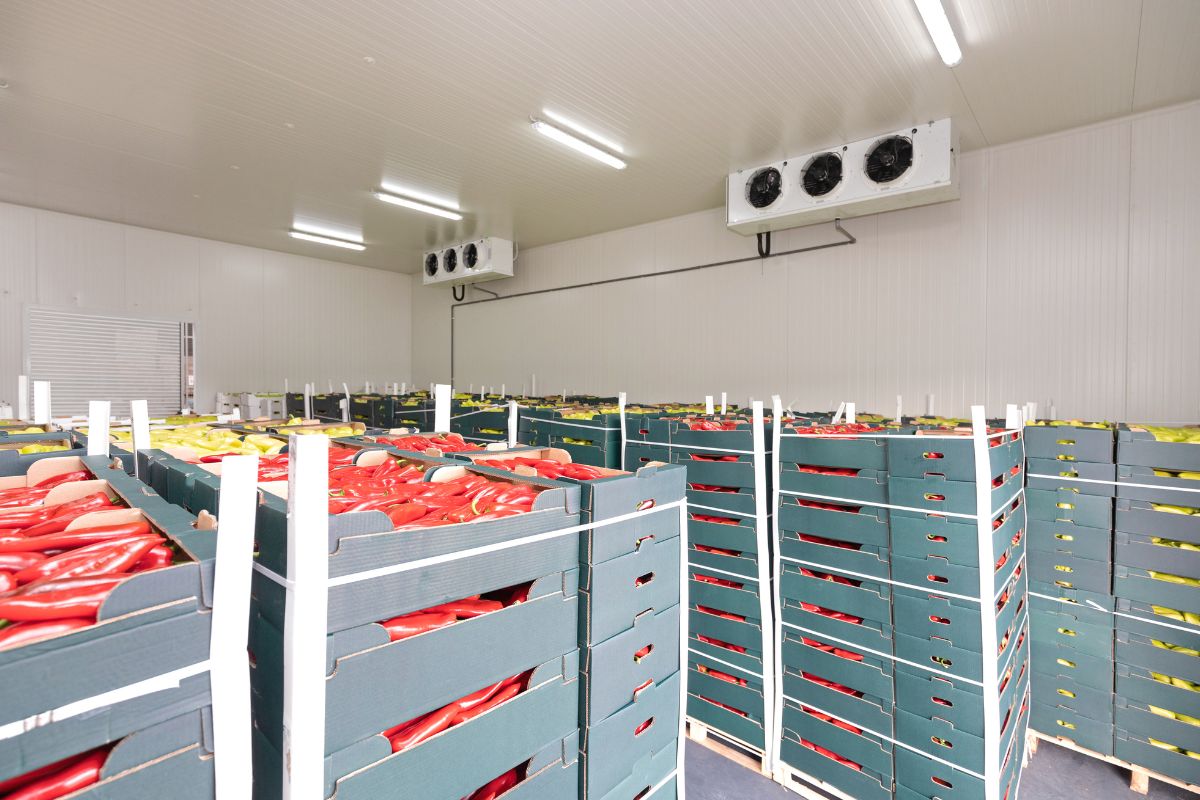 Controlled Atmosphere Storage (CAS).jpg